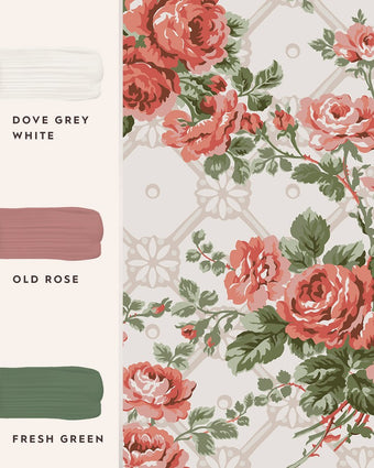 Country Roses Old Rose Pink Wallpaper view of wallpaper and coordinating paint colors