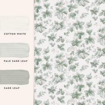 Autumn Leaves Sage Green Wallpaper - View of coordinating paint colors
