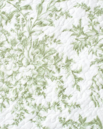 Bedford Green Quilt Set - Print Closeup