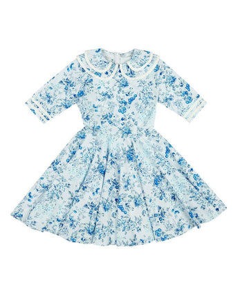 Bramble Kent Dress - Front view of dress on white background