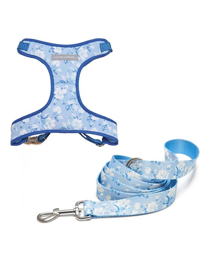 Carlisle 2pc Harness and Leash Set - Laura Ashley