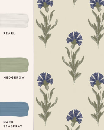 Dandelion Dusky Seaspray Blue Wallpaper view of wallpaper with coordinating paint colors