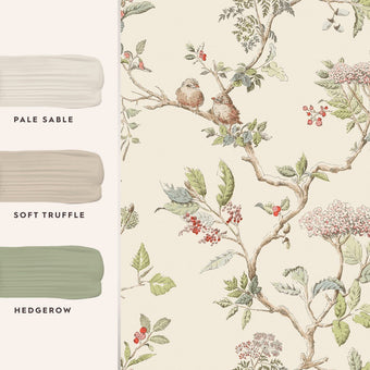 Elderwood Natural Wallpaper Sample - View of coordinating paint colors