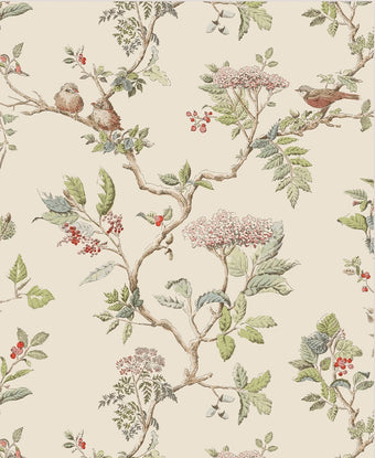 Elderwood Natural Wallpaper Sample - Laura Ashley