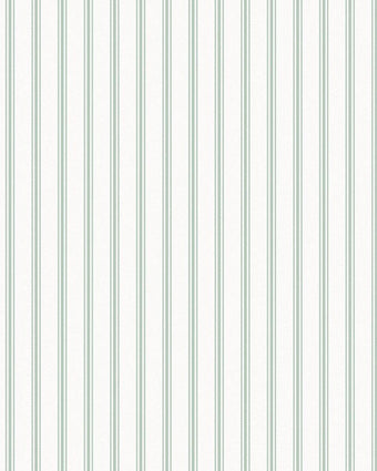 Farnworth Stripe Sage Green Wallpaper - Close up view of wallpaper