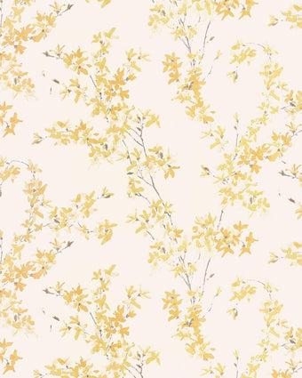 Forsythia Sunshine Wallpaper - Laura Ashley