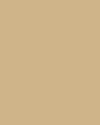 Gold Paint - View of paint swatch