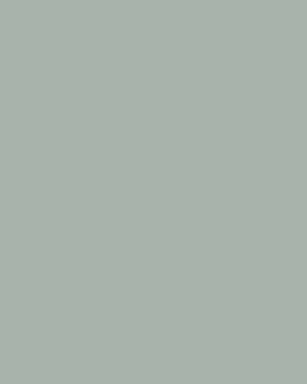 Grey Green Paint - View of paint swatch