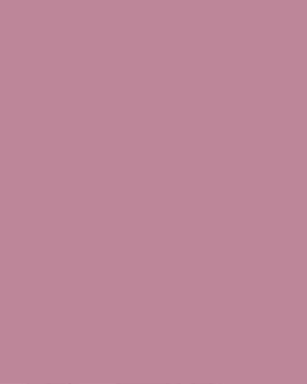 Mulberry Paint - View of swatch of paint