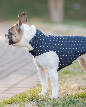 Navy Dot Quilted Car Coat - Laura Ashley