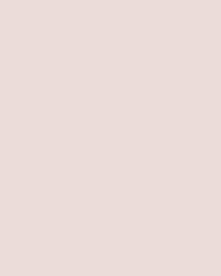 Pale Blush Paint - View of paint swatch