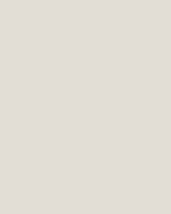 Pale Dove Grey Paint - View of paint swatch
