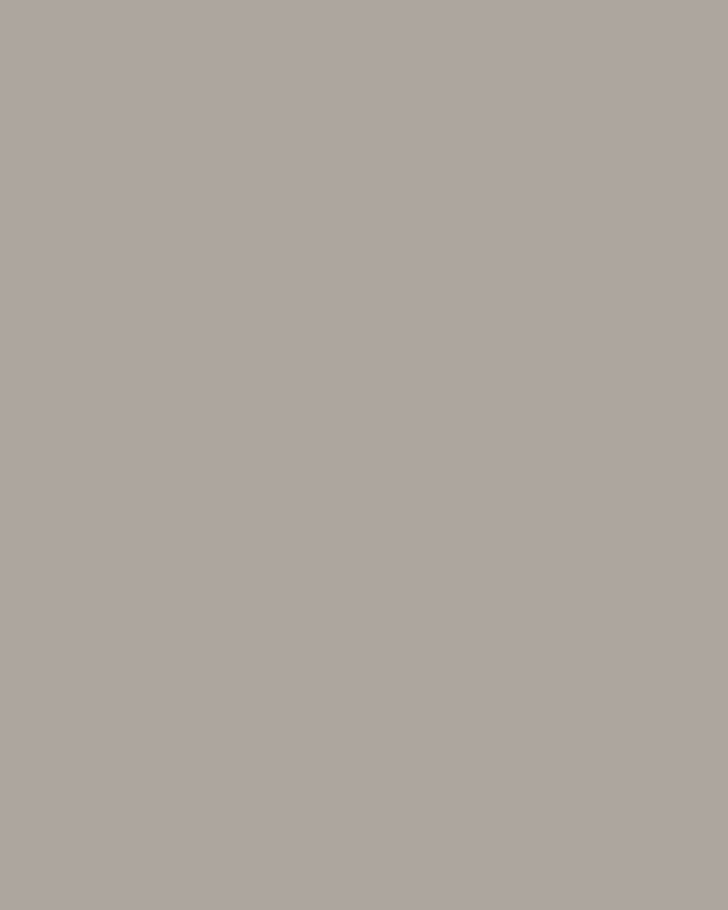 Pale French Grey Paint - View of paint swatch