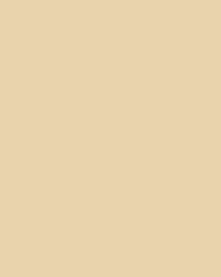 Pale Gold Paint - View of paint swatch