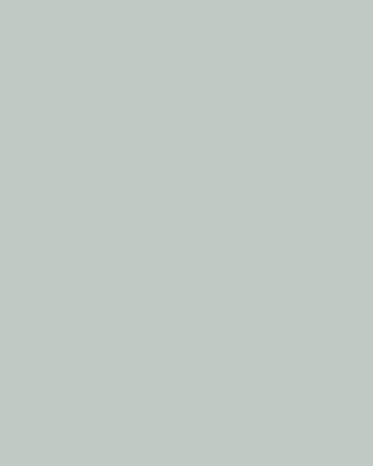 Pale Grey Green Paint - View of paint swatch