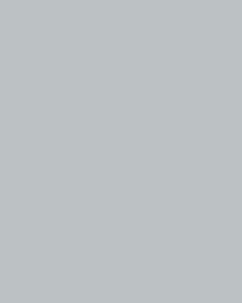 Pale Slate Paint - View of swatch of paint