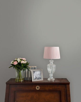 Pale Steel Paint - View of paint on a wall