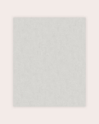 Plain Pale Silver Wallpaper view of wallpaper
