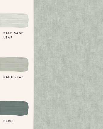 Plain Sage Leaf Wallpaper view of wallpaper and coordinating paint