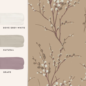 Pussy Willow Natural Wallpaper Sample -View of coordinating paint colors 