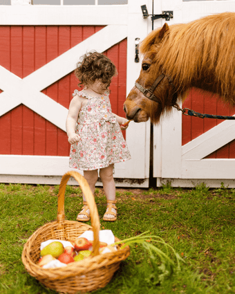 Rowena Crinkle Gauze Dress  Front view of dress on model feeding a carrot to a horse.