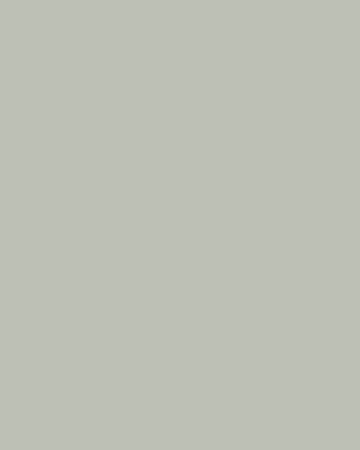 Sage Leaf Paint - View of paint swatch