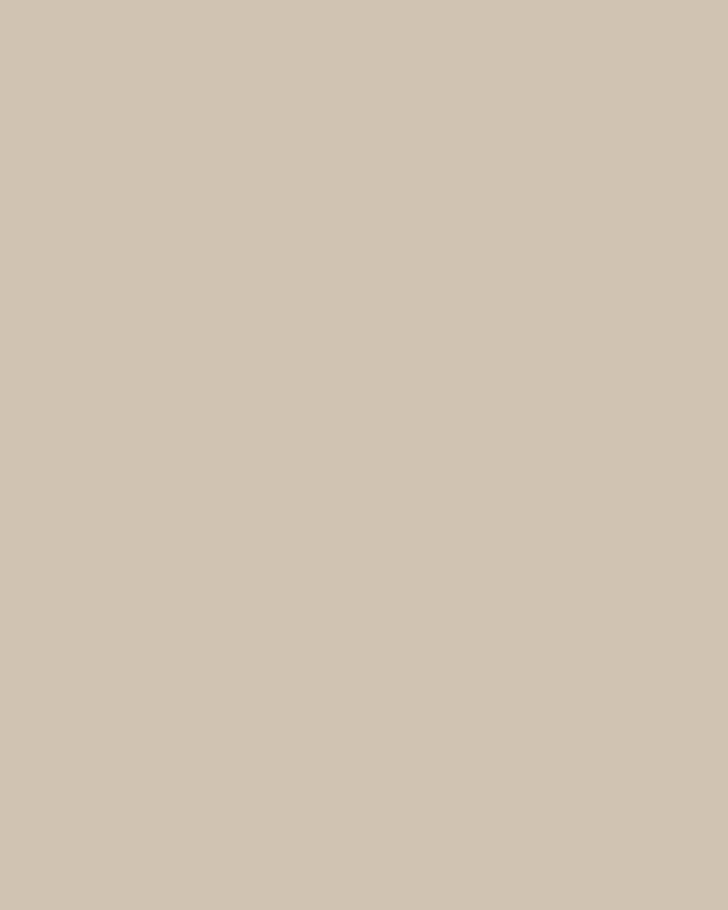 Soft Truffle Paint - View of paint swatch