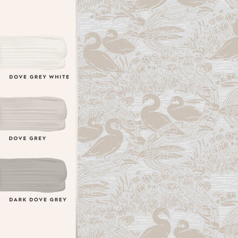Swans Dove Grey Wallpaper - View of coordinating paint colors